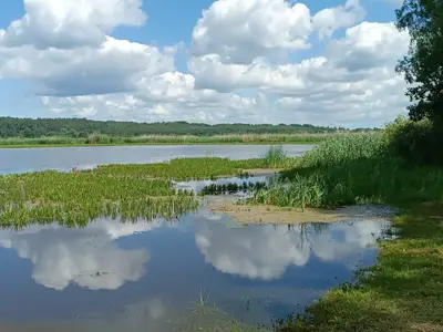 Фото из отзыва Татьяна